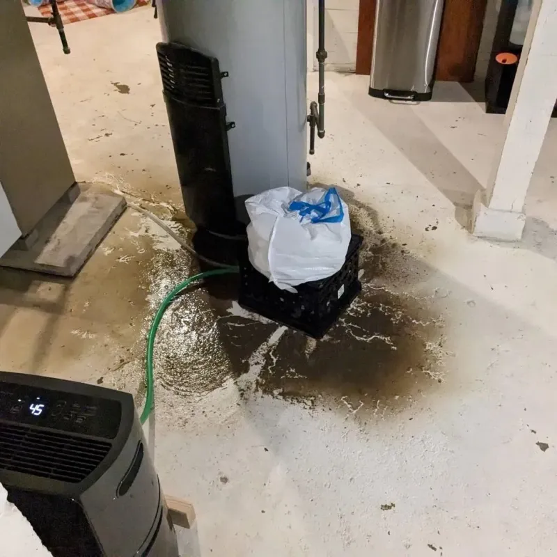 Sewage Backup Cleanup Service in Creighton, NE